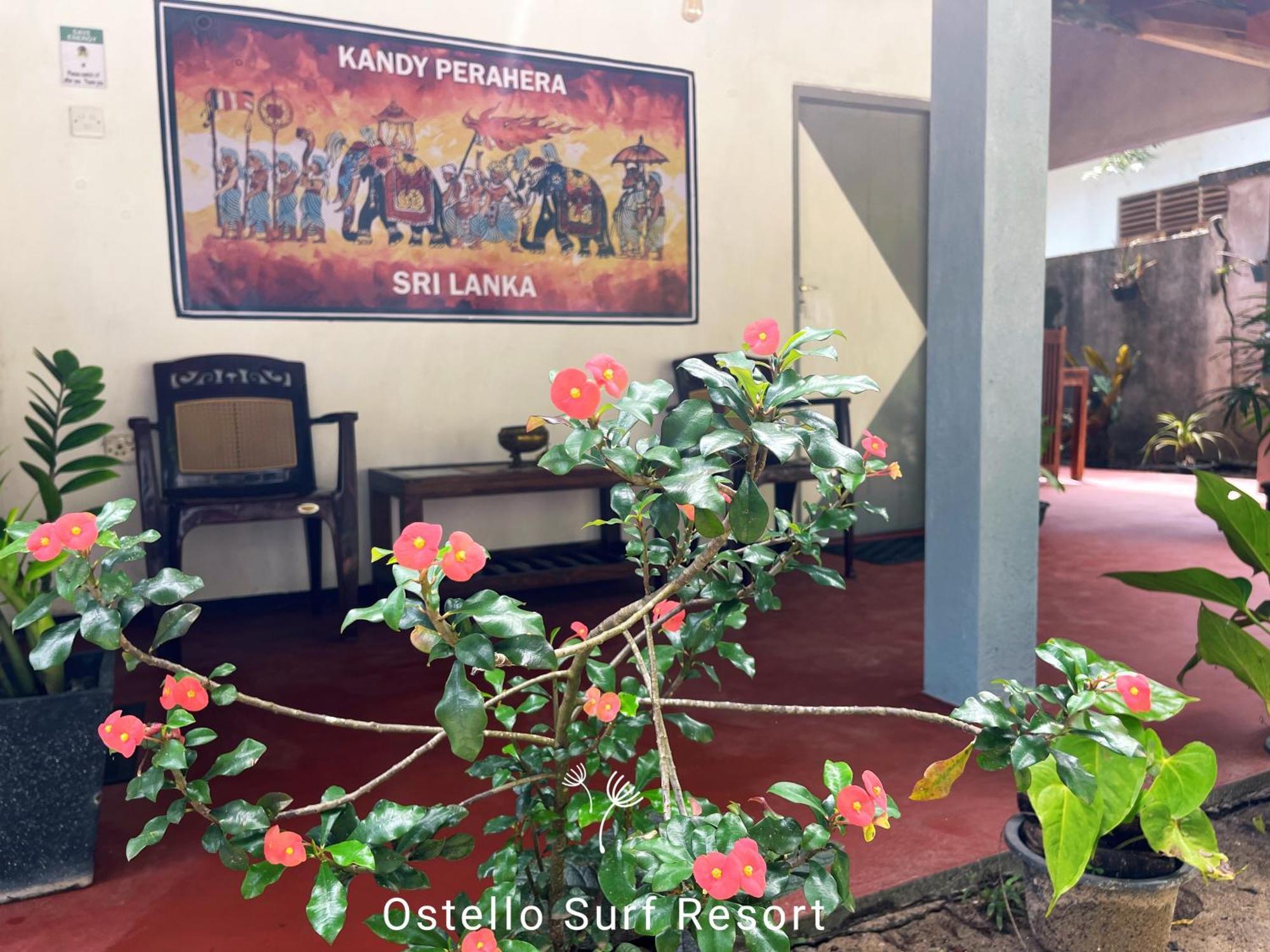 Ostello Surf Resort Ahangama Zimmer foto